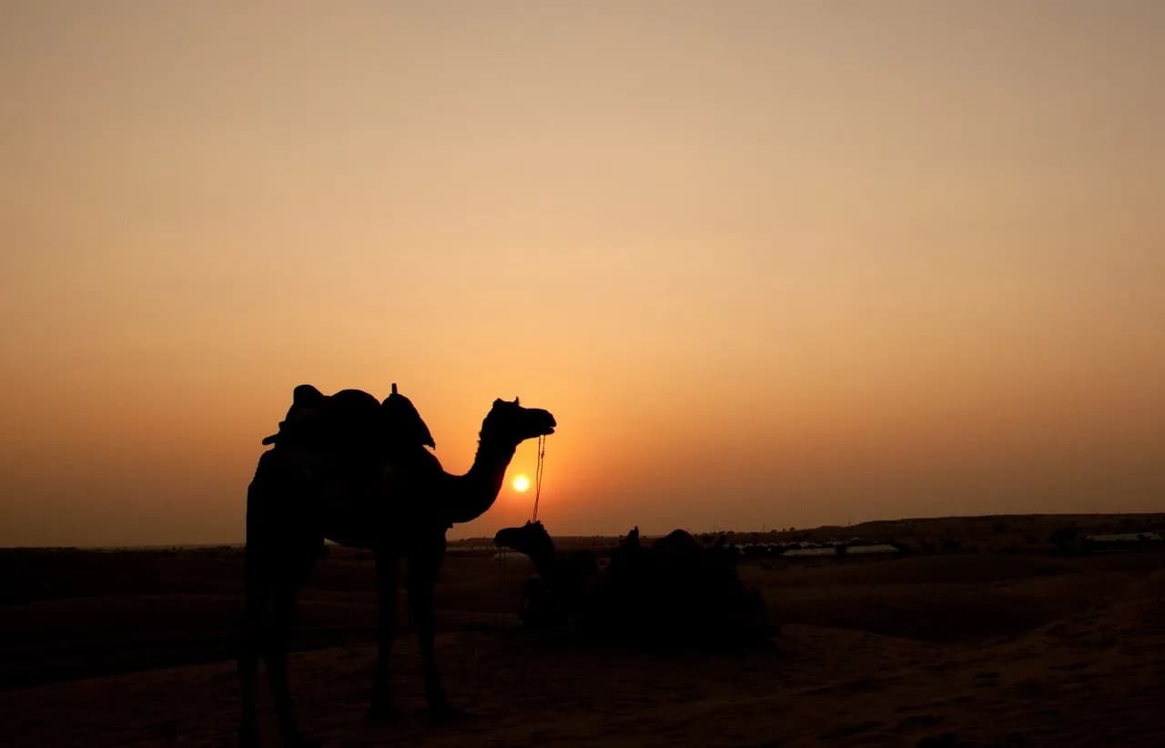 Jaisalmer desert