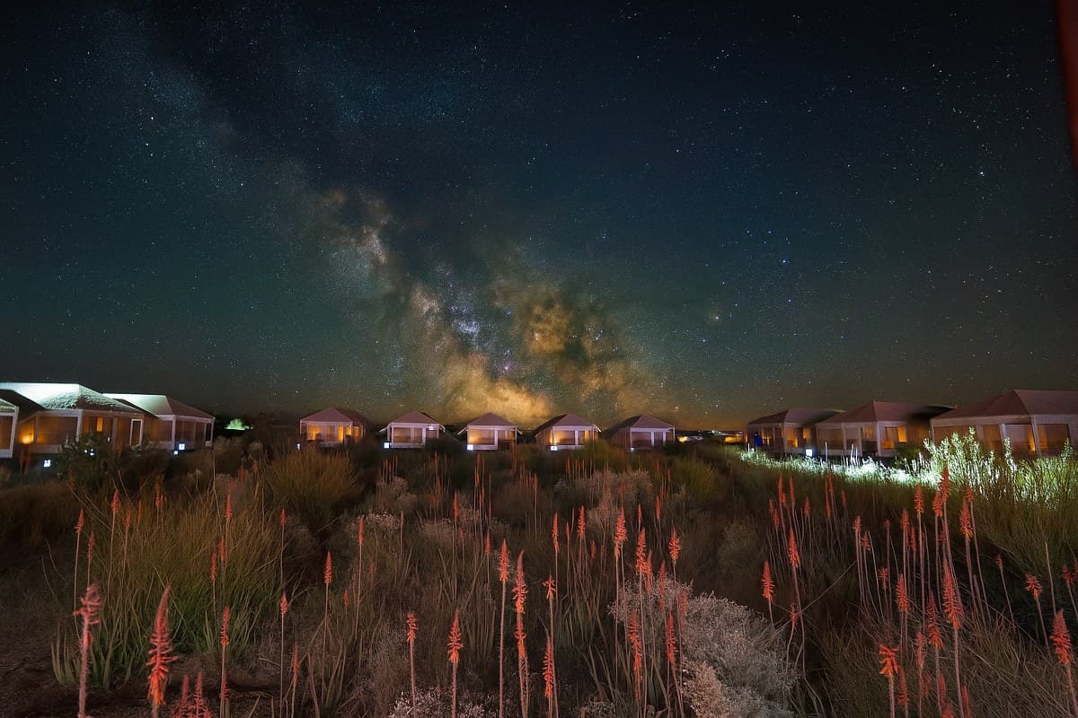 Desert Spring