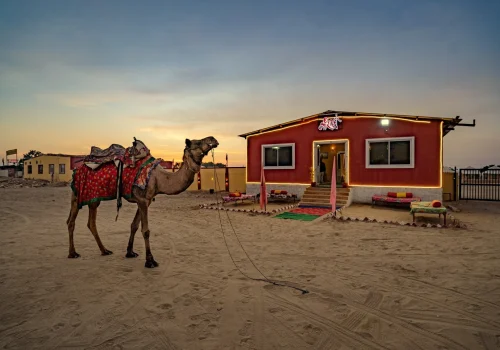 desert camp in jaisalmer